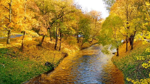 Colorful city park scene in the fall with orange and yellow foliage. Beautiful autumn scenery in Vilnius, Lithuania.