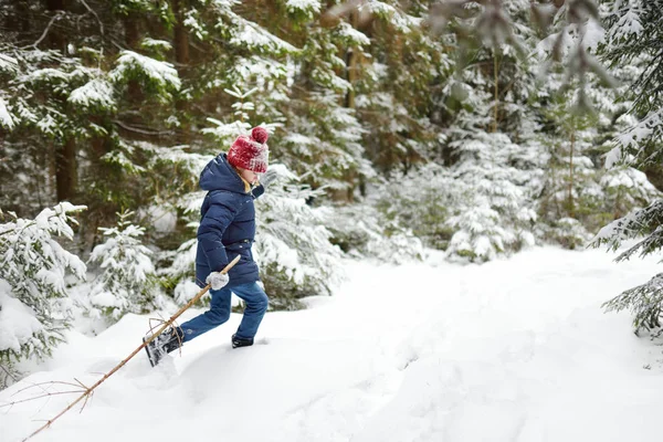 Schattig Meisje Plezier Mooie Winter Woud Gelukkig Kind Spelen Een — Stockfoto