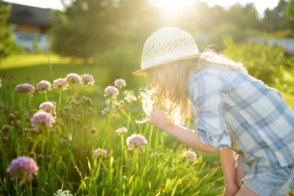 Aranyos Kis Lány Visel Szalmakalapot Megcsodálta Magas Lila Fokhagyma Virágok — Stock Fotó