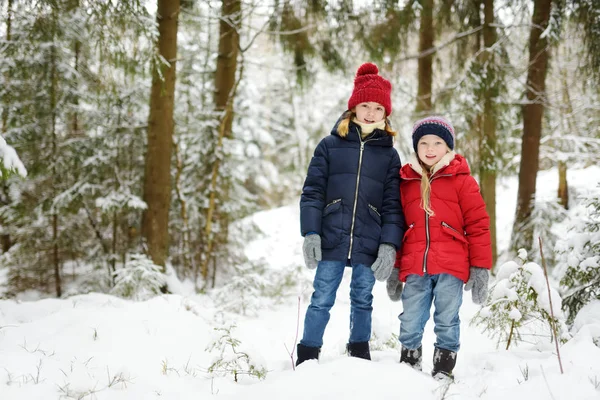 美しい冬の森で一緒に楽しんで二人の愛らしい少女 美しい姉妹が 雪で遊ぶ 子供のための冬のアクティビティ — ストック写真