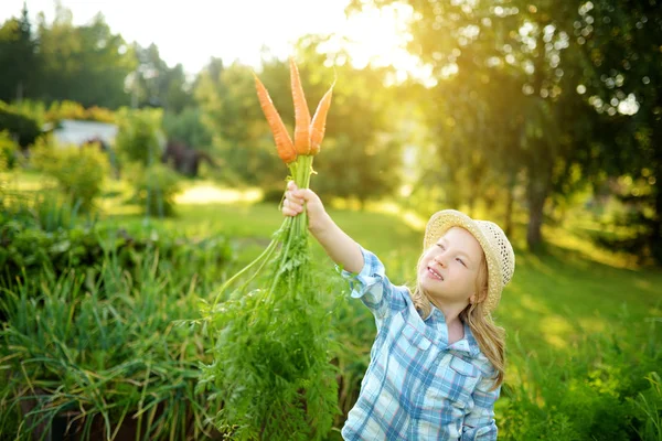 Linda Niña Con Sombrero Paja Sosteniendo Montón Zanahorias Orgánicas Frescas —  Fotos de Stock