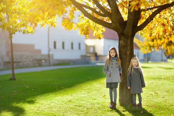 Dos Niñas Lindas Divirtiéndose Hermoso Día Otoño Niños Felices Jugando —  Fotos de Stock