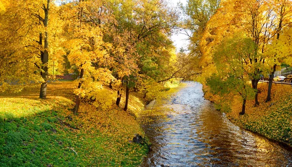 Colorful forest scene in the fall with orange and yellow foliage. Autumn city park scenery in Vilnius, Lithuania.