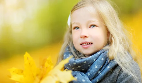 다운가 귀여운 공원에서 아이입니다 노란색가 단풍을 수집입니다 어린이 위한가 — 스톡 사진