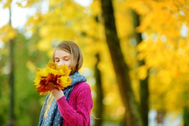 Sevimli küçük kız güzel sonbahar gününde eğleniyor. Sonbahar parkta oynayan mutlu çocuk. Sarı sonbahar yaprakları toplama çocuk. Çocuklar için sonbahar faaliyetleri.