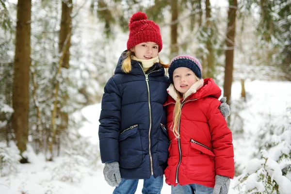 两个可爱的小女孩一起在美丽的冬季森林乐趣 美丽的姐妹们在雪地里玩耍 儿童冬季活动 — 图库照片
