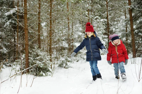 Dos Adorables Niñas Divirtiéndose Juntas Hermoso Bosque Invierno Hermosas Hermanas — Foto de Stock