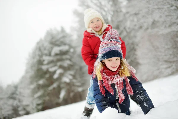 两个可爱小女孩一起在美丽的冬季公园开心 漂亮的姐妹在雪地里玩 孩子们的冬季活动 — 图库照片