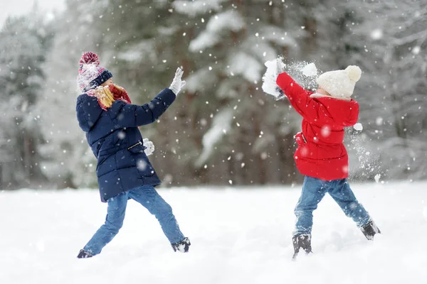 Twee Schattige Kleine Meisjes Plezier Samen Prachtig Winter Park Mooie — Stockfoto