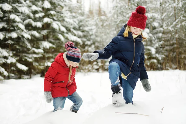 Två Bedårande Små Flickor Att Roligt Tillsammans Vackra Vinter Skog — Stockfoto