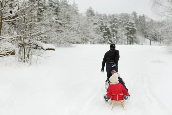 そりを楽しむ つのかわいい妹は 父親と雪の降る冬の日に乗る 冬の家族の活動 冬の休日 — ストック写真