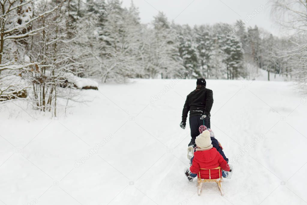 Two cute little sisters enjoying sleigh ride with their father on snowy winter day. Family activities in winter. Winter holidays.