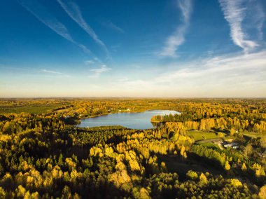 Kuşlar sonbahar orman ve küçük bir göl manzarasına göz. Turuncu ve sarı yaprakları ile sonbahar hava renkli orman sahne. Sonbahar sahne Vilnius, Litvanya yakınındaki.