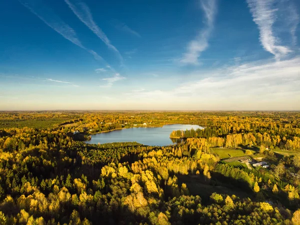 秋の森と小さな湖の鳥瞰図します オレンジと黄色の紅葉と秋の空中のカラフルな森のシーン ヴィリニュス リトアニア付近の秋風景 — ストック写真