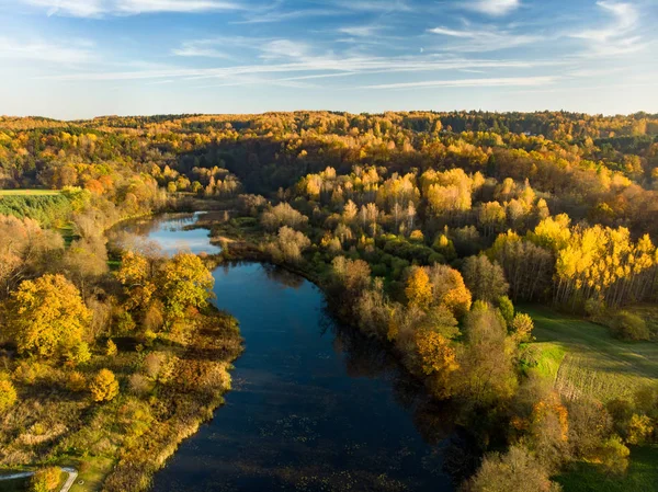 Воздушные Красочные Лесные Пейзажи Осенью Оранжевой Желтой Листвой Пейзаж Городского — стоковое фото