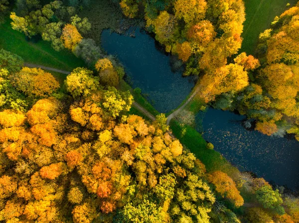 Cena Florestal Colorida Aérea Outono Com Folhagem Laranja Amarela Paisagem — Fotografia de Stock