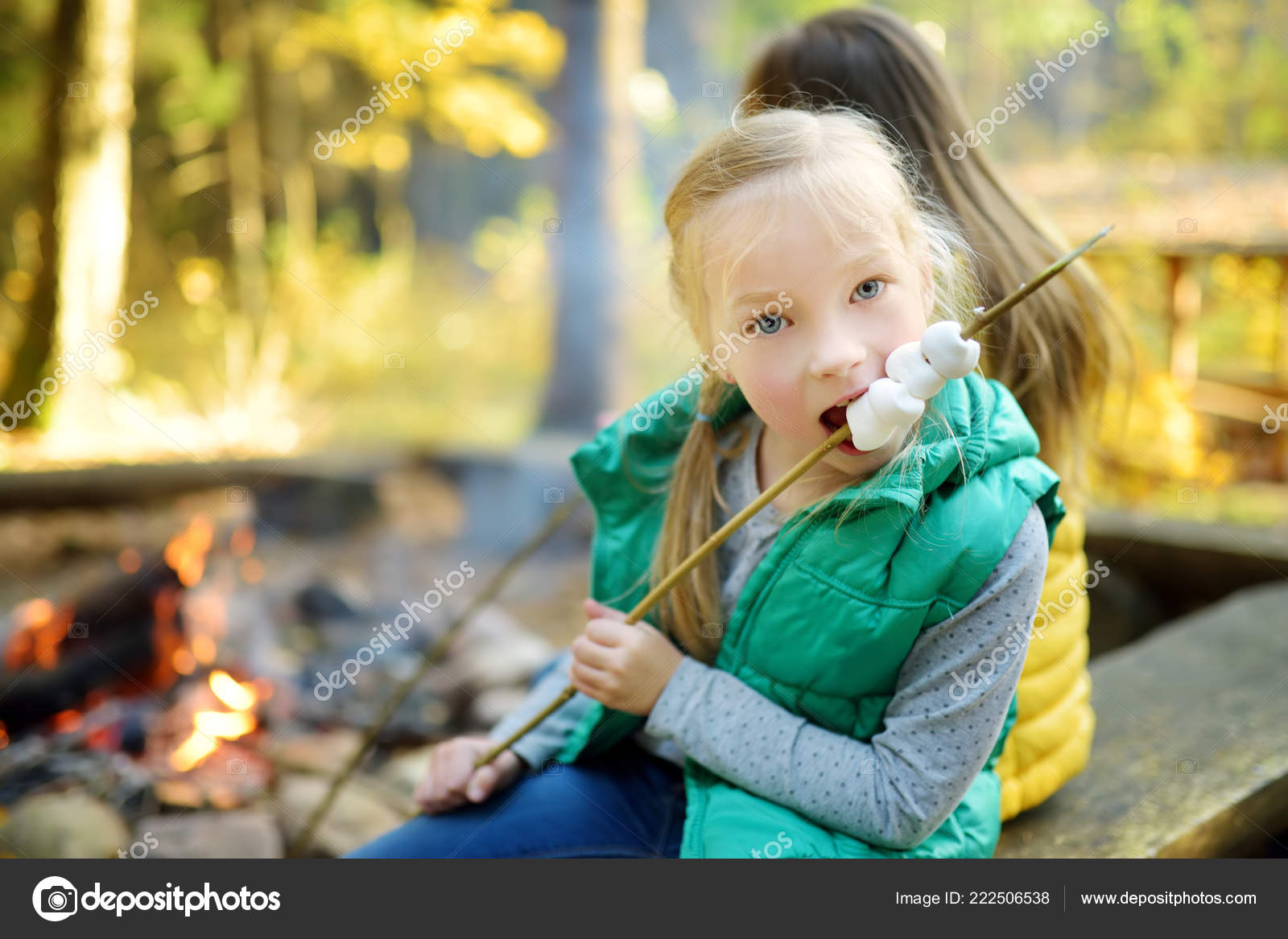 Cute Little Girl Roasting Marshmallows Stick Bonfire Child Having Fun