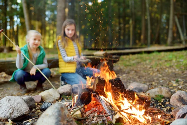 かわいい妹は焚き火で棒でホットドッグを焙煎します キャンプの火で楽しい様子 秋の森で子供とキャンプ 秋に子供たちとファミリー向けのレジャー — ストック写真