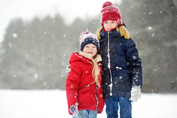 Två Bedårande Små Flickor Att Roligt Tillsammans Vackra Vinter Park — Stockfoto