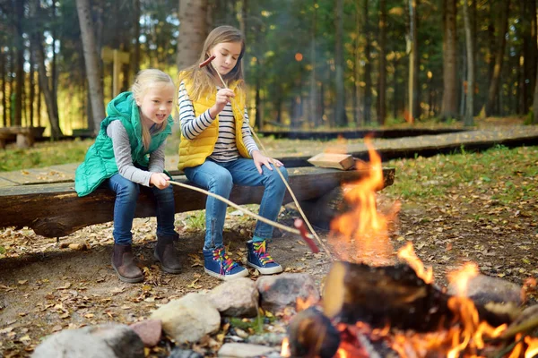 Niedliche Kleine Schwestern Braten Hotdogs Lagerfeuer Kinder Haben Spaß Lagerfeuer — Stockfoto