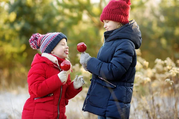 Zwei Entzückende Schwestern Die Einem Schönen Sonnigen Weihnachtstag Rote Äpfel — Stockfoto