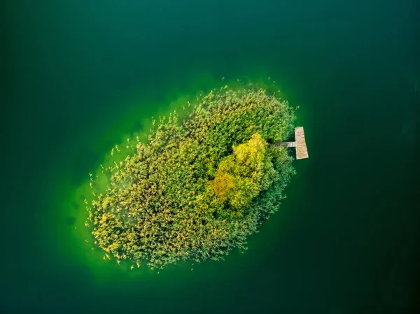 Bovenaanzicht Vanuit Lucht Het Kleine Eiland Vogels Uitzicht Prachtige Groene — Stockfoto