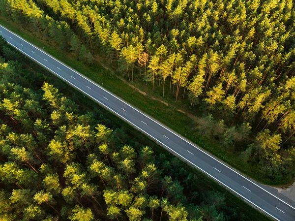 Aerial Uppifrån Syn Hösten Skogen Med Tvåfältsväg Bland Pinjeträd Vackra — Stockfoto