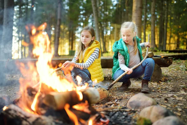 Schattige Kleine Zusters Roosteren Hotdogs Stokjes Vreugdevuur Kinderen Plezier Kampvuur — Stockfoto