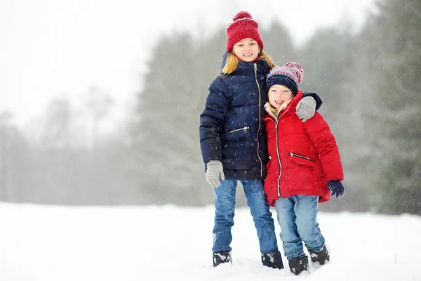 Två Bedårande Små Flickor Att Roligt Tillsammans Vackra Vinter Park — Stockfoto