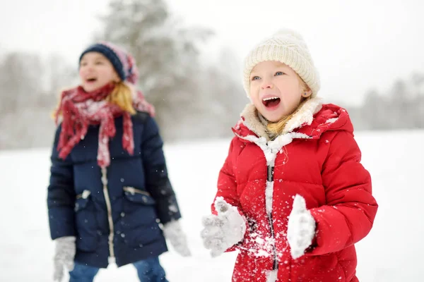 Två Bedårande Små Flickor Att Roligt Tillsammans Vackra Vinter Park — Stockfoto