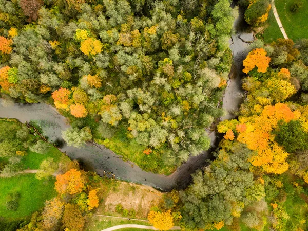 Cena Florestal Colorida Aérea Outono Com Folhagem Laranja Amarela Paisagem — Fotografia de Stock