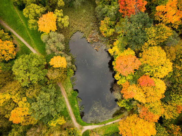 Aerial colorful forest scene in autumn with orange and yellow foliage. Fall city park scenery in Vilnius, Lithuania.