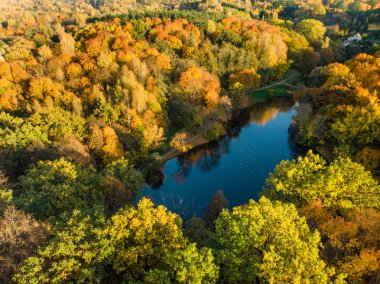 Kuşlar sonbahar orman ve küçük bir göl manzarasına göz. Turuncu ve sarı yaprakları ile sonbahar hava renkli orman sahne. Sonbahar sahne Vilnius, Litvanya yakınındaki.