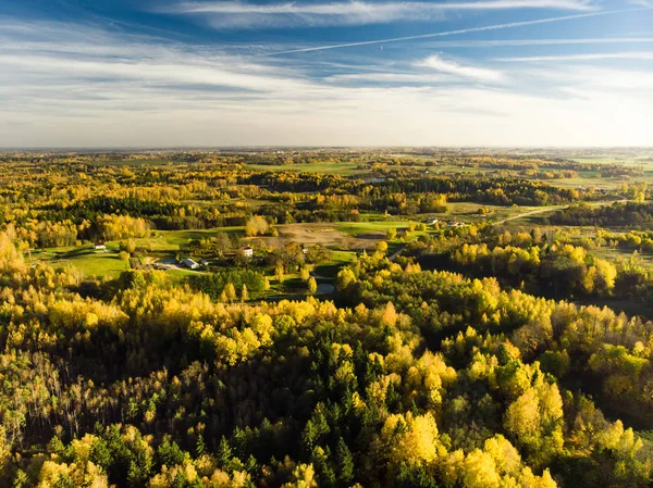 Flygfoto Över Hösten Skogen Med Gröna Och Gula Träd Blandad — Stockfoto