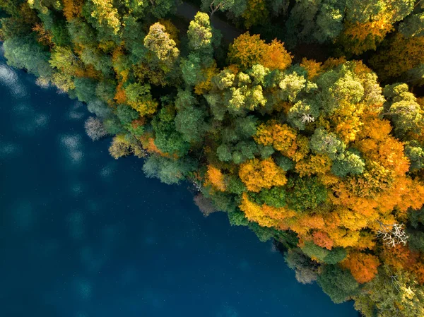 Vista Aérea Cima Para Baixo Costa Lago Gela Com Árvores — Fotografia de Stock