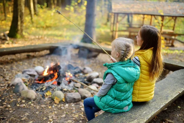 Cute Little Sisters Roasting Hotdogs Sticks Bonfire Children Having Fun — Stock Photo, Image