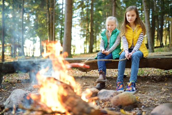 Niedliche Kleine Schwestern Braten Hotdogs Lagerfeuer Kinder Haben Spaß Lagerfeuer — Stockfoto