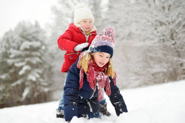 Dwie Urocze Dziewczyny Trochę Zabawy Razem Pięknym Parku Zimowym Grając — Zdjęcie stockowe