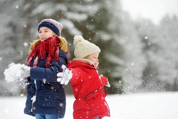 Två Bedårande Små Flickor Att Roligt Tillsammans Vackra Vinter Park — Stockfoto