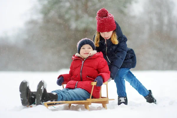 Deux Petites Filles Amusent Ensemble Dans Magnifique Parc Hiver — Photo