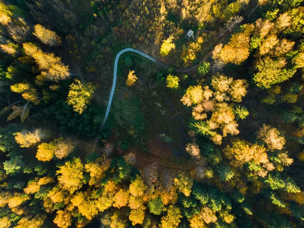 Aerial View Autumn Forest Road Trees — Stock Photo, Image