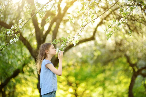 Virágzó Alma Kert Szép Tavaszi Napon Imádnivaló Kicsi Lány — Stock Fotó