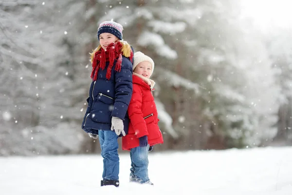 两个小女孩在美丽的冬季公园里一起玩 — 图库照片