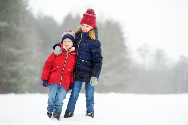 Due Bambine Che Divertono Insieme Nel Bellissimo Parco Invernale — Foto Stock