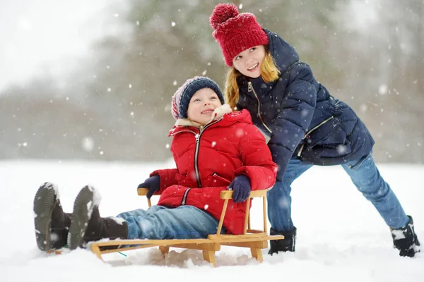 Dvě Malé Dívky Baví Společně Krásné Zimní Park — Stock fotografie