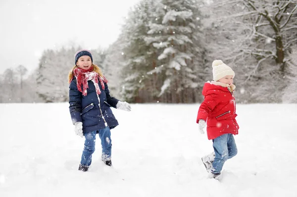 Dwie Małe Dziewczynki Zabawy Razem Piękny Zimowy Park — Zdjęcie stockowe