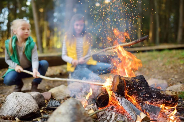 Süße Kleine Schwestern Braten Würstchen Lagerfeuer Wald — Stockfoto