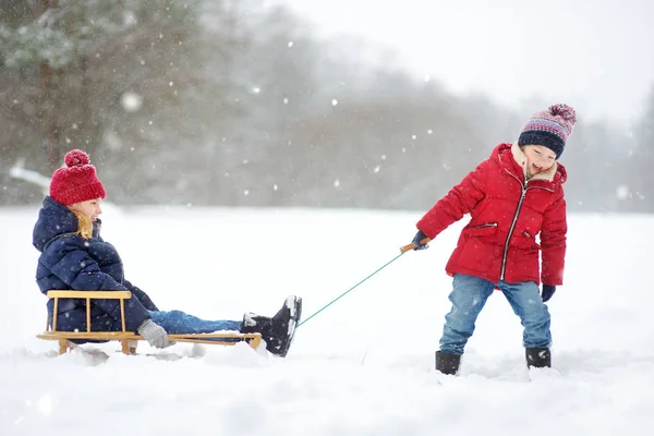 Två Små Flickor Att Roligt Tillsammans Vackra Vinter Park — Stockfoto