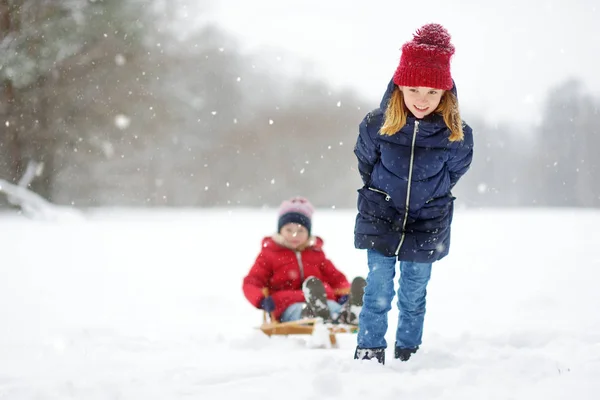 Zwei Kleine Mädchen Haben Gemeinsam Spaß Wunderschönen Winterpark — Stockfoto
