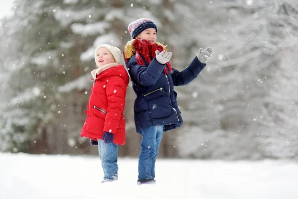 二人の少女が美しい冬の公園で一緒に楽しい時を過す — ストック写真